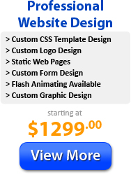 Custom Website Design Services